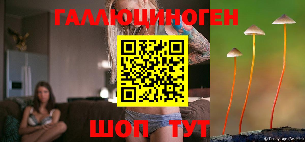 Псилоцибиновые грибы прущие грибы  Галлюциногенные грибы GOLDEN TEACHER  Вход с VPN  Мелеуз 